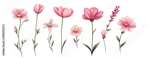 Wallpaper Mural Set of pink flowers isolated on a transparent backgroun -  Torontodigital.ca