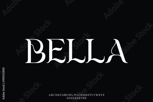 Unique elegant decorative serif alphabet display font vector illustration