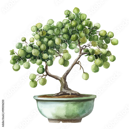 A watercolor drawing of an Indian gooseberry bonsai, isolated on a white background. Indian gooseberry bonsai vector.
