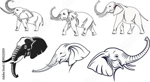 set of elephants