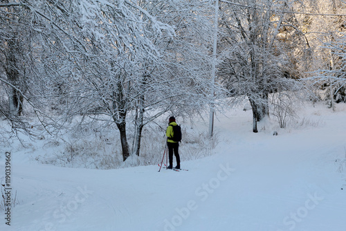 Canvas Print Winter