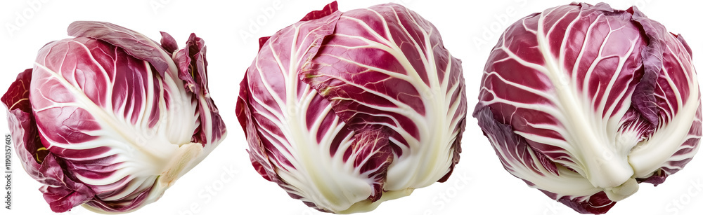 Fototapeta premium Radicchio isolated on transparent background heads of radicchio png