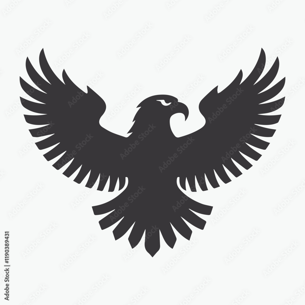 Fototapeta premium A Flying Eagle Silhouette
