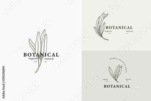 Line art sage branches logotypes