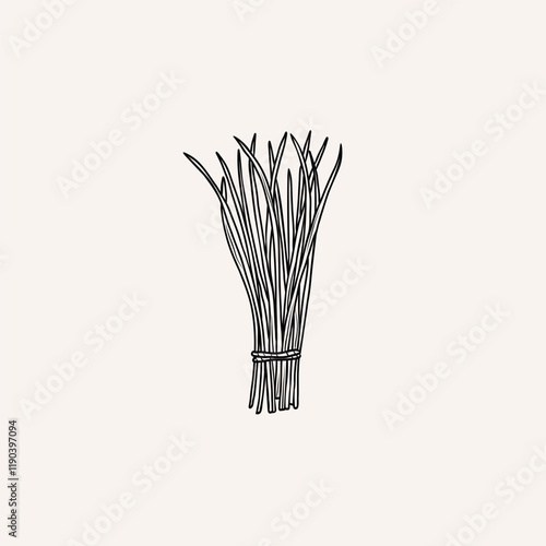 Line art chives bunch illustration