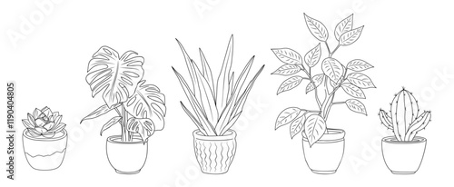 Set of different house plants line art drawings. Monstera, Aloe Vera, Cactus, Echeveria Ficus plants sketch style hand drawn vector illustrations isolated on transparent background