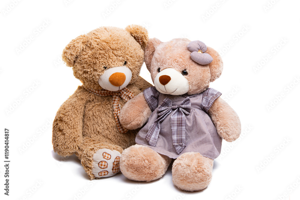 Fototapeta premium soft toy teddy bear isolated