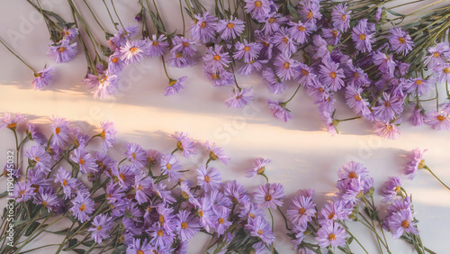 Asters: purple asters with delicate green stems and leaves, arranged in an unstructured, free-flowing pattern across an ivory-tinged white background