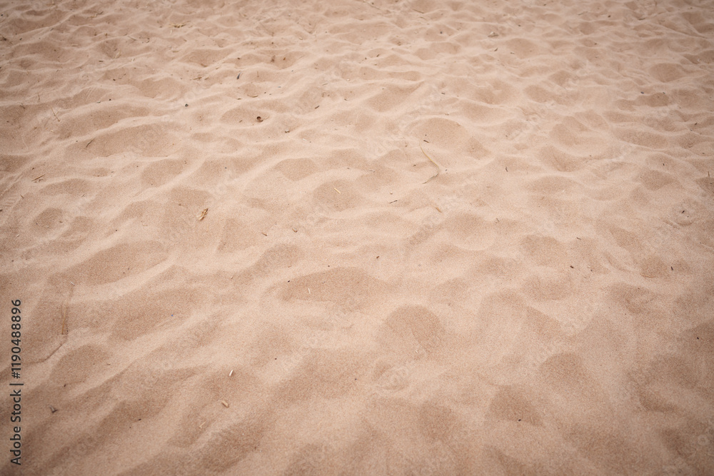 Obraz premium Close up view of sand beach with some plant debries