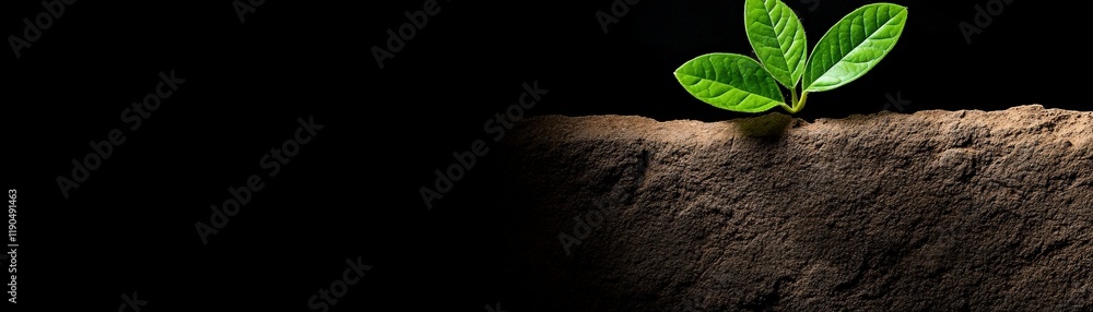 Naklejka premium A New Beginning: A lone seedling emerges from the dark earth, its vibrant green leaves reaching for the light, a symbol of hope, resilience, and the promise of growth.