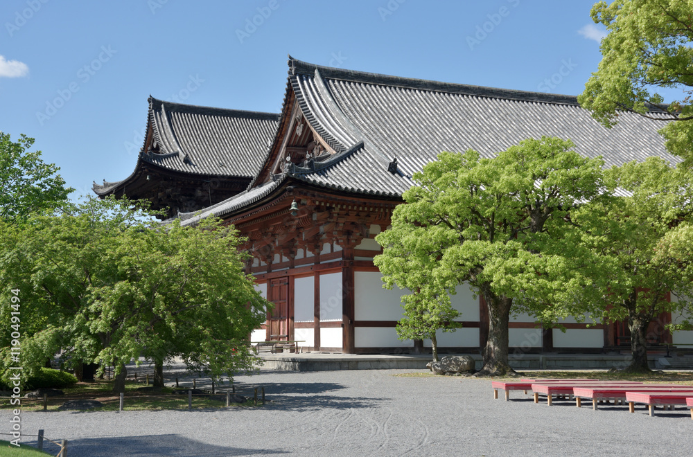 Fototapeta premium 東寺 金堂と講堂 京都市南区