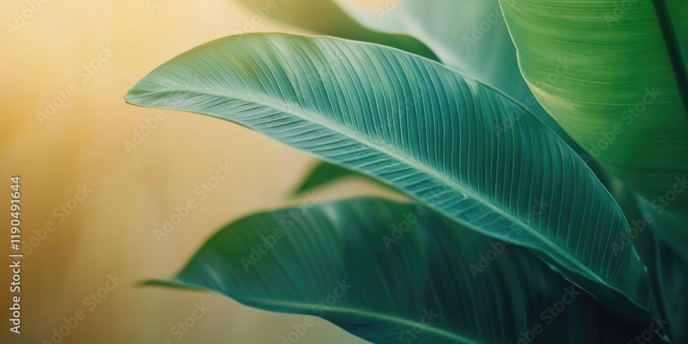 Obraz premium Close-up of plant with green leaves