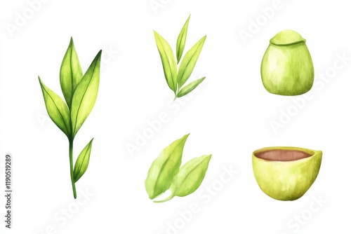 A collection of green tea leaves and matcha representations, showcasing their vibrant colors and natural forms.