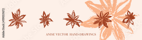 Anise vector hand-drawings. Hand drawn illustrations isolated of spices. Culinary herbs, kitchen icons, cooking symbols. Anise star with seeds engraved doodles for Herbal tea label. Charcoal flowers.