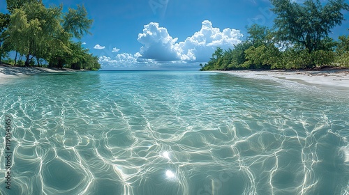 An underwater panoramic view reveals a pristine beach teeming with exotic tropical flora photo