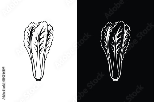 Lettuce icon vector on White Background ,Vector Art Illustration on white background.