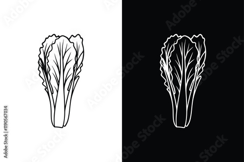 Lettuce icon vector on White Background ,Vector Art Illustration on white background.