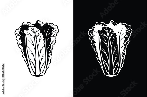 Lettuce icon vector on White Background ,Vector Art Illustration on white background.