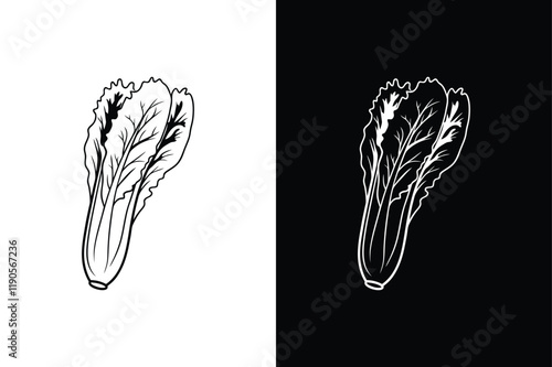 Lettuce icon vector on White Background ,Vector Art Illustration on white background.