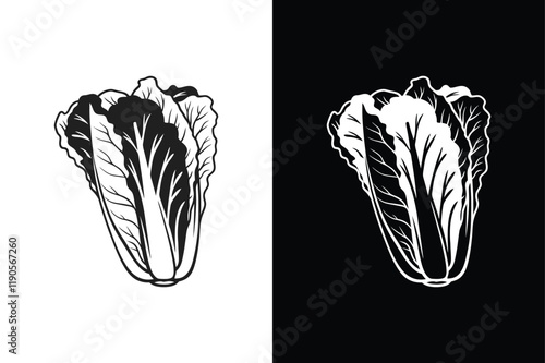 Lettuce icon vector on White Background ,Vector Art Illustration on white background.