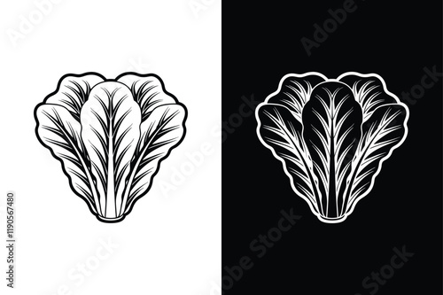 Lettuce icon vector on White Background ,Vector Art Illustration on white background.