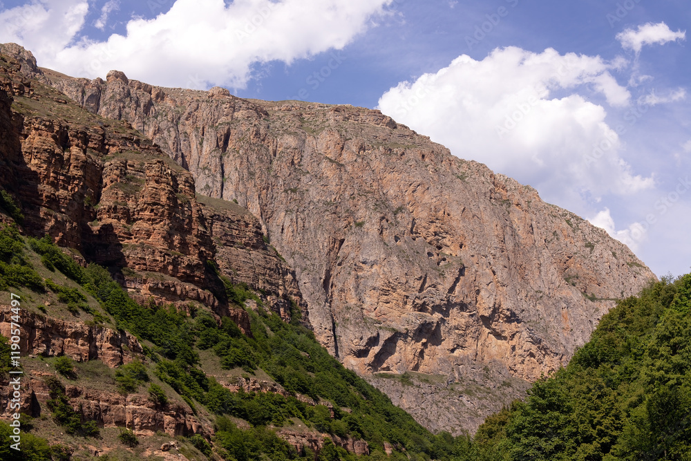 Green trees on beautiful rocks high in the mountains. Green trees on beautiful rocks high in the mountains.