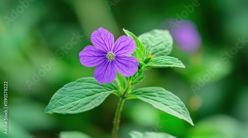 Delicate close-up of a purple lavender flower, with a soft bokeh of green leaves in the background, highlighting the flower gentle beauty and calming hues. photo