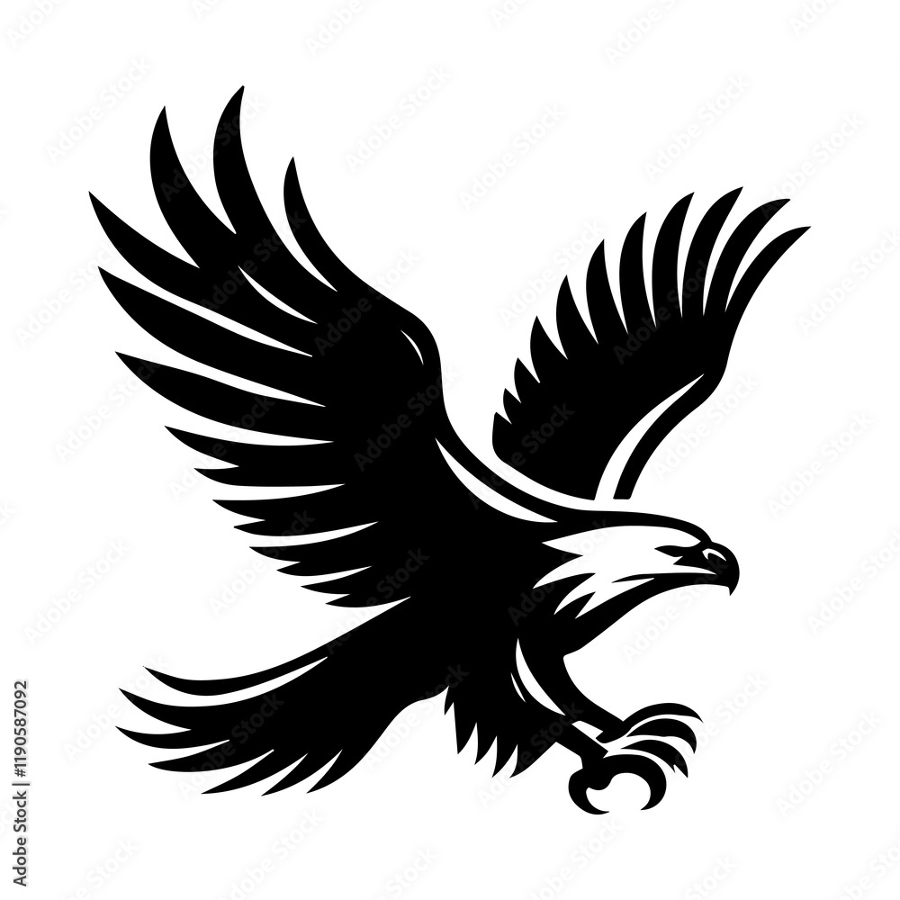 Obraz premium eagle in flight