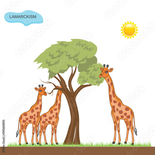 Lamarckism. The Theory of Inheritance of Acquired Characteristics.
