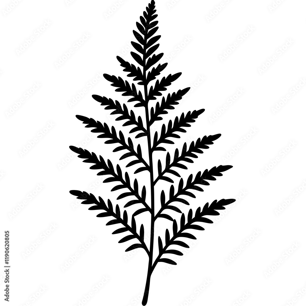 Fern Silhouette Line Art Creations Fern Silhouette Line Art Creations