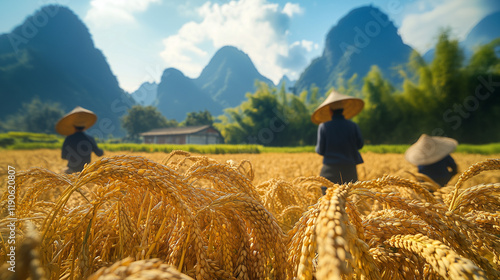 Agricultores chinos trabajando en los campos de arroz, con altas montañas y árboles verdes detrás de ellos. photo