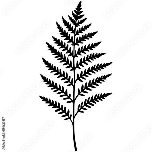 Fern Silhouette Line Art Creations