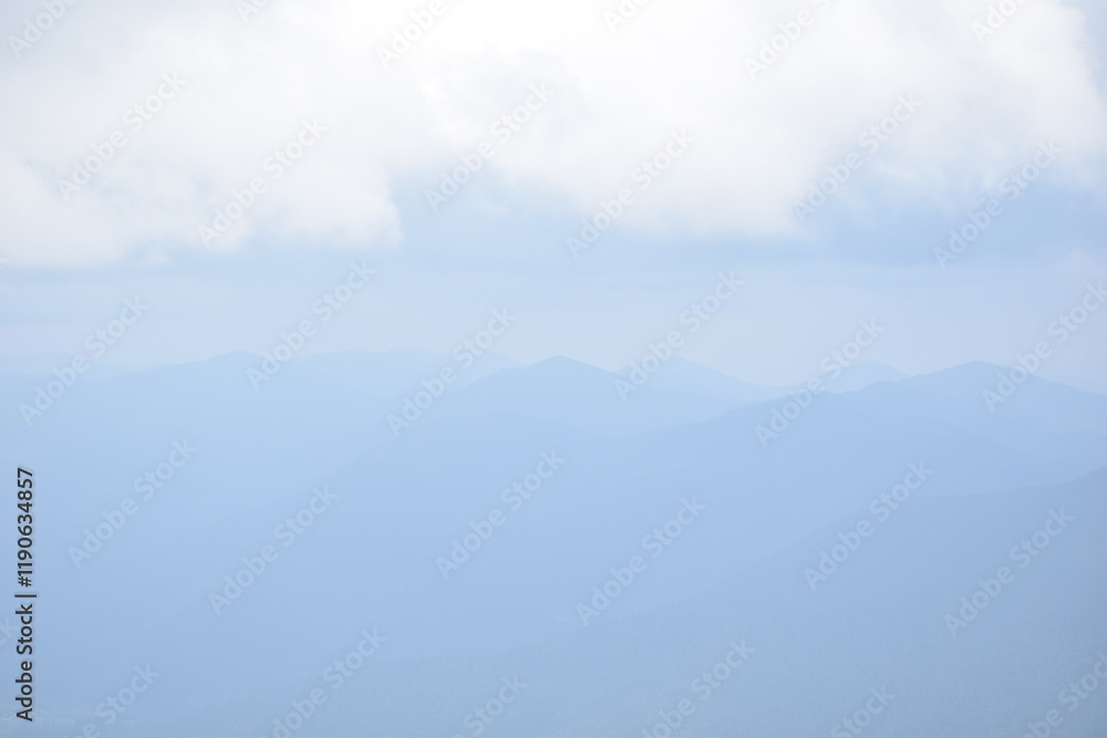 Fototapeta premium forested mountains in the fog 