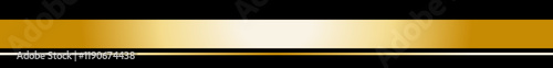 Elegant Black and Gold Decorative Graphic