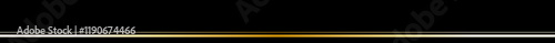 Elegant Black and Gold Decorative Graphic