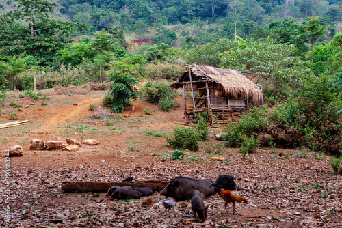Obraz na płótnie Luang Prabang Mountains, Laos w salonie