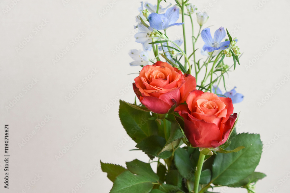 Fototapeta premium 薔薇とデルフィニウム