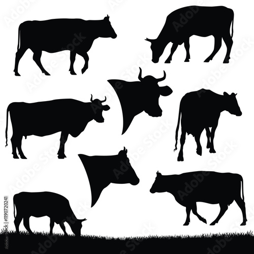 walking, grazing and standing cows - farm animal cattle pasture black and white vector silhouette set