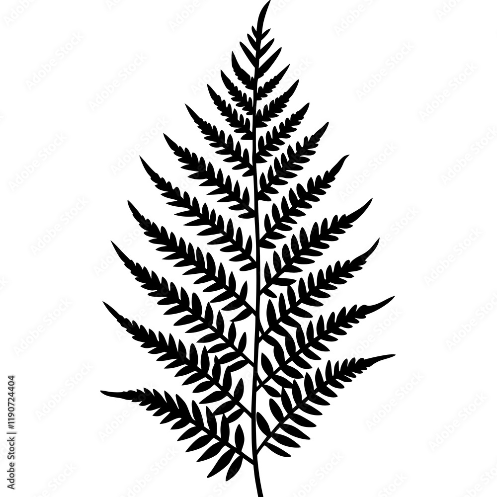 Elegant Fern Line Art Vectors