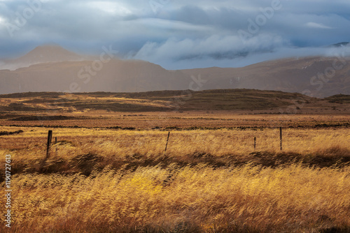 Obraz na płótnie The landscape around the town of Borgarnes in the west of Iceland w salonie