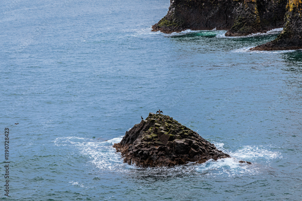 Cliffs on the coast of Arnarstapi on the island of Iceland