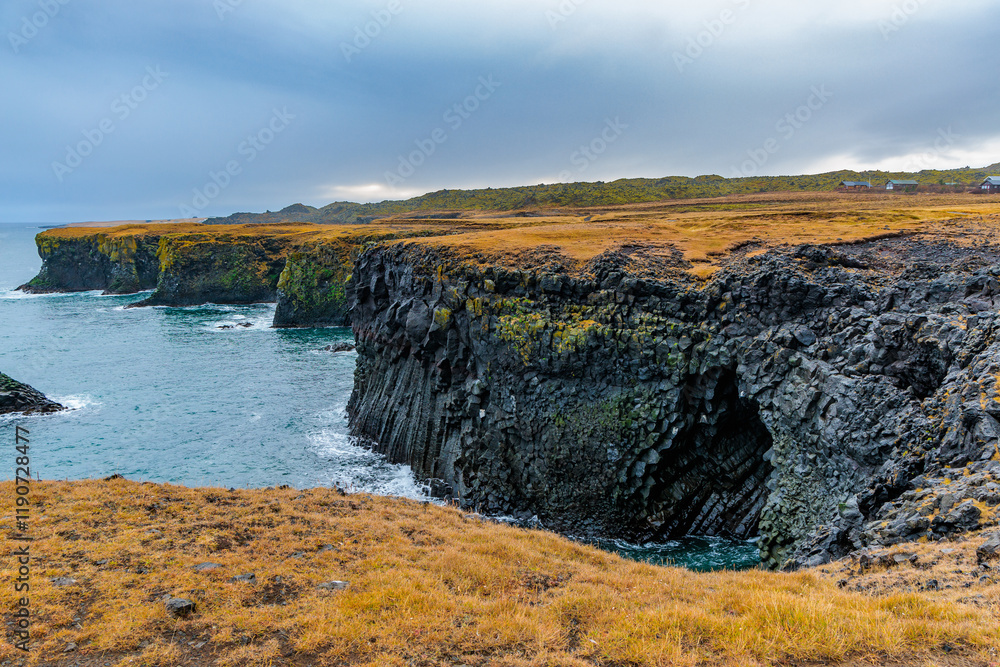 Cliffs on the coast of Arnarstapi on the island of Iceland