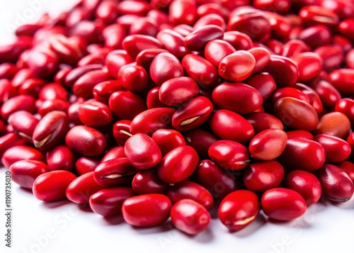 Bright Red Saga Seeds Minimalist Photography -  Vibrant Acacia Beans on White Background photo