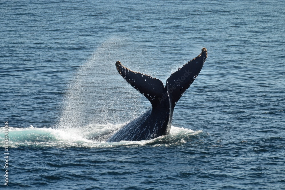 Fototapeta premium Dynamic whale breach in sparkling ocean dramatic lighting
