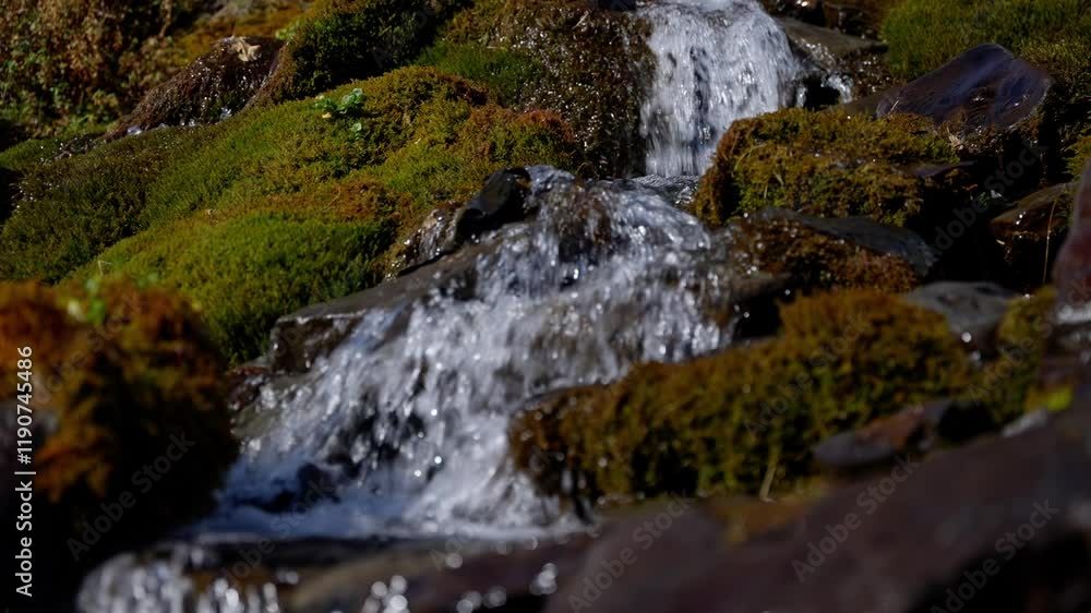 Mountain stream flowing between moss-covered stones, sunlight sparkling through clear water, revealing wilderness tranquility with soft, graceful movement Mountain stream flowing between moss-covered stones, sunlight sparkling through clear water, revealing wilderness tranquility with soft, graceful movement