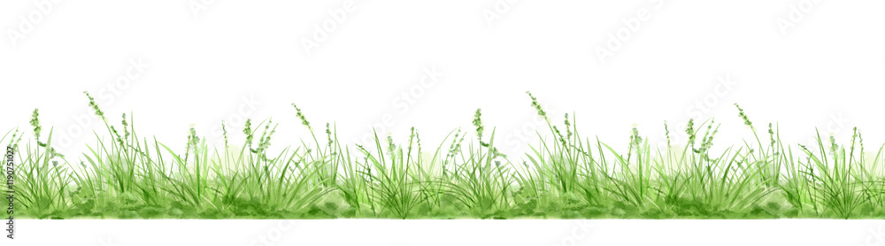 Fototapeta premium Green grass and lush bushes on a seamless pattern. Watercolor digital illustration. . Spring greenery and natural landscape, isolated on a white background. Horizontal border of summer grass thickets
