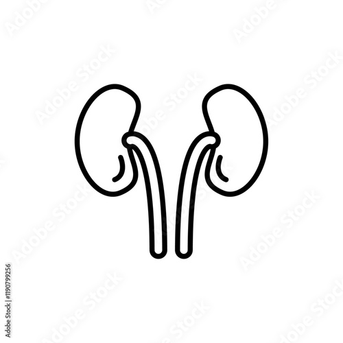 Human kidneys icon vector outline logo sign