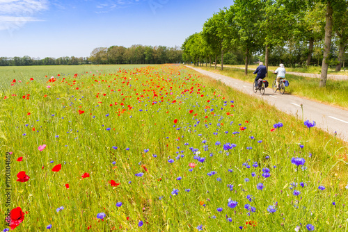 Senior couple riding bicycle along colorful wildflowers near Orvelte, Netherlands photo