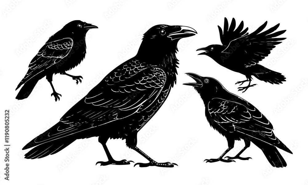 set of crow silhouettes vector set of crow silhouettes vector