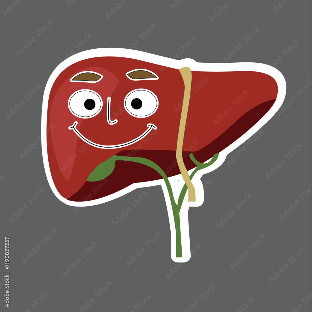 liver character. healthy liver concept. liver character. healthy liver concept.